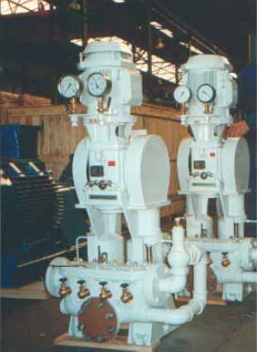 Reciprocating Pump